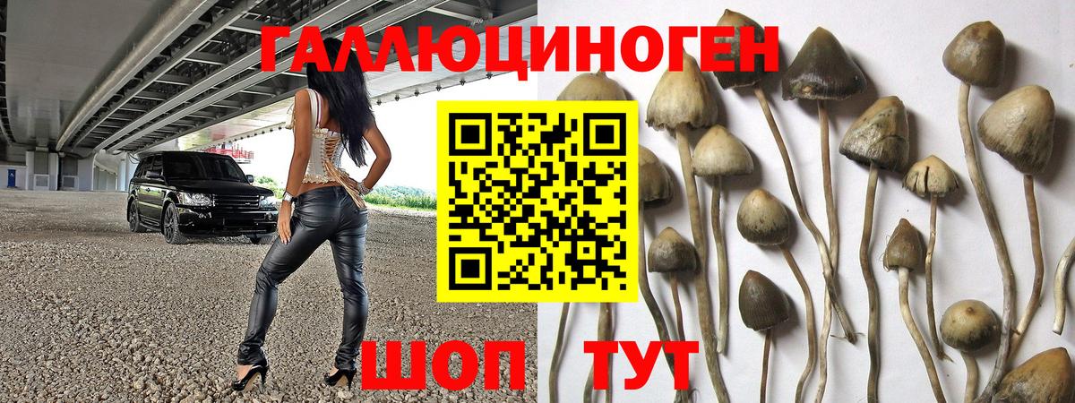 Псилоцибиновые грибы мухоморы  Вход с VPN  Усть-Илимск  Галлюциногенные грибы мухоморы 
