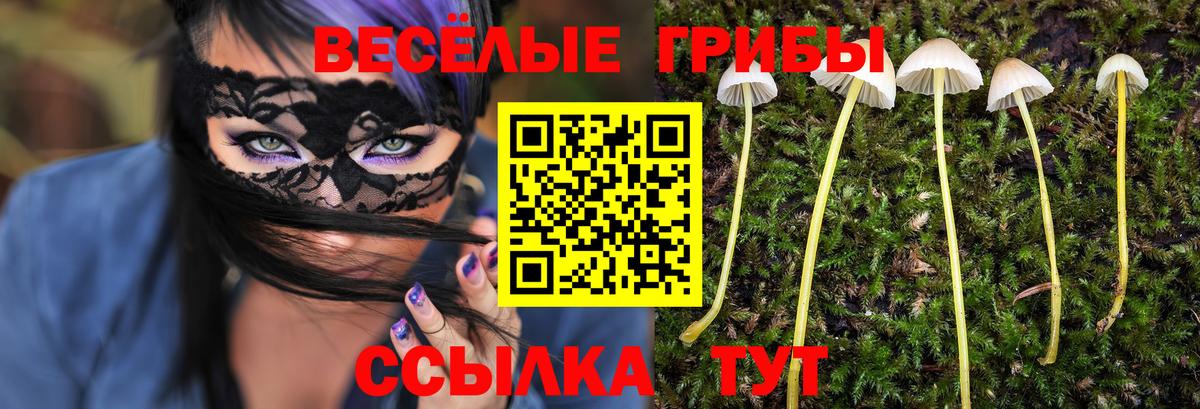 Галлюциногенные грибы прущие грибы Усть-Илимск